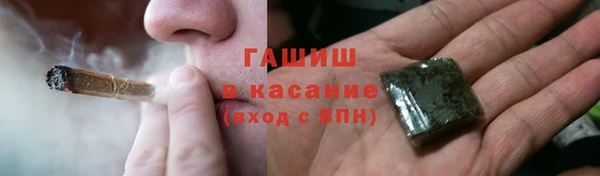 прущие грибы Переславль-Залесский