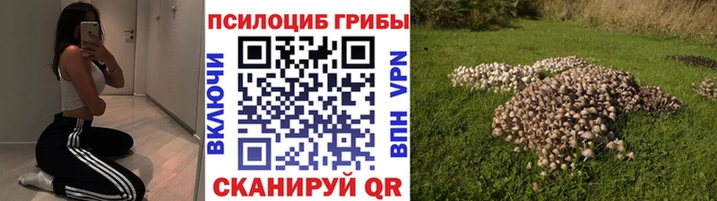 купить закладку  ОМГ ОМГ зеркало  Галлюциногенные грибы мухоморы  Буй 